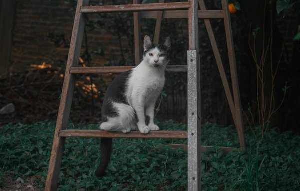 What are the best practices for maintaining a healthy indoor environment in the UK?